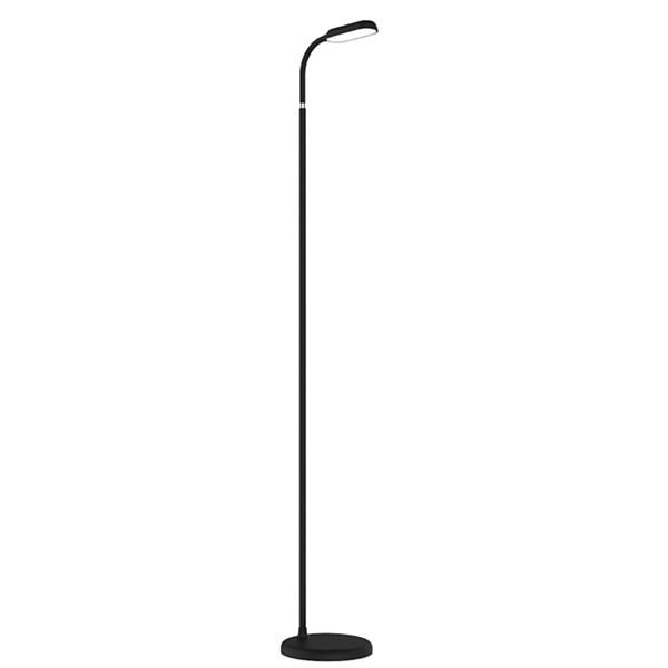 Lumos Led Floor Lamp Rechargeable Battery Operated Dimmable Reading