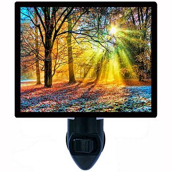 Morning Sunrays. Decorative Photo Night Light.