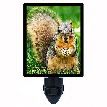 Nuts For Nuts. Squirrel Decorative Photo Night Light.