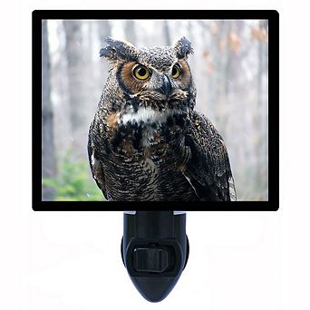 Watchful Owl. Decorative Photo Night Light.