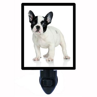 French Bulldog. Dog Decorative Photo Night Light.