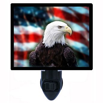 Bald Eagle On Us Flag. Patriotic Decorative Photo Night Light.