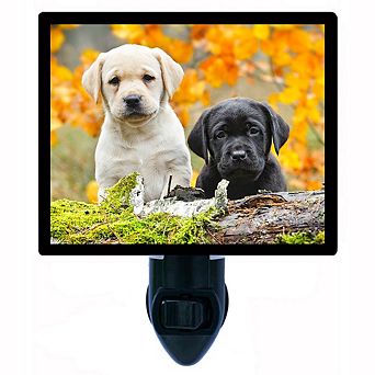 Yellow And Black Labs. Dog Decorative Photo Night Light.
