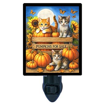 Pumpkins for Sale Night Light Kittens with Pumpkins and Sunflowers Autumn Scene + Free Insert