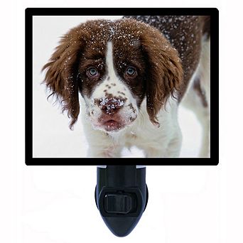 Springer Spaniel Puppy. Dog Decorative Photo Night Light.