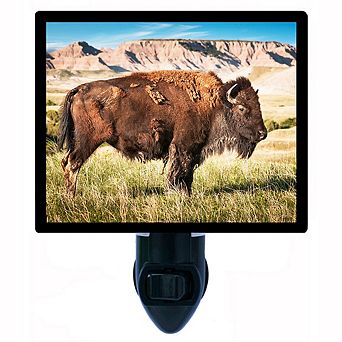 American Bison. Buffalo Decorative Photo Night Light.