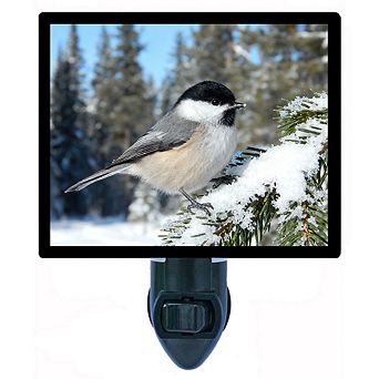 Chickadee on Snowy Fir Winter Bird Night Light Nature Wildlife Home Décor Plug In Free Insert