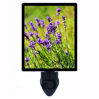 Lavender. Decorative Photo Night Light.