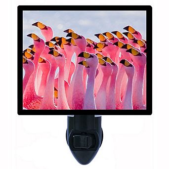 Flamingo Party. Tropical Decorative Photo Night Light.