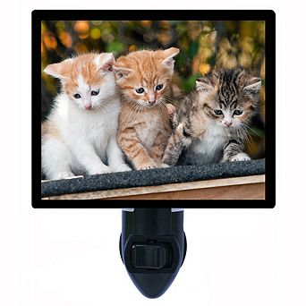 The Next Generation. Cat Decorative Photo Night Light.