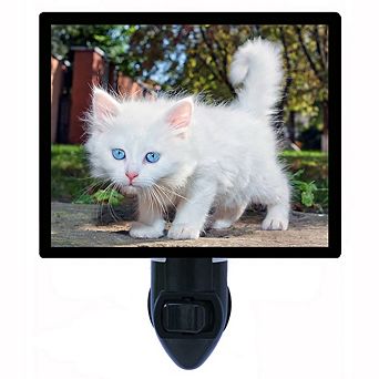 Pretty Blues. Cat Decorative Photo Night Light.