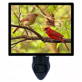 Two Cardinals In Tree. Bird Decorative Photo Night Light.