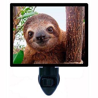 Baby Sloth. Decorative Photo Night Light.