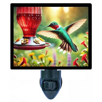 Hummingbird at Feeder Night Light Colorful Garden Wildlife Decor Lamp + Free Insert