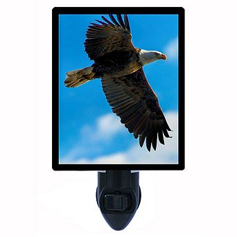 Watchful Eye. Bald Eagle Decorative Photo Night Light.