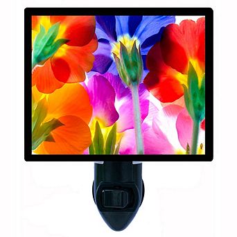 Summer Colors. Flower Decorative Photo Night Light.