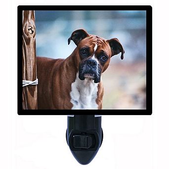 Boxer. Dog Decorative Photo Night Light.