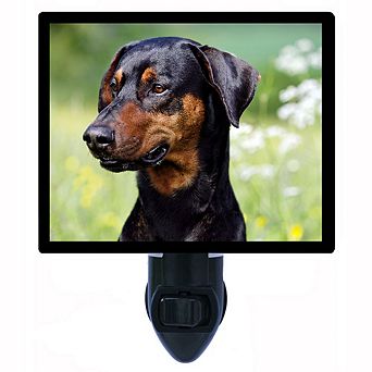 Doberman. Dog Decorative Photo Night Light.