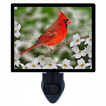 Male Northern Cardinal. Decorative Photo Night Light.