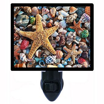 Starfish And Colorful Shells. Bathroom Decorative Photo Night Light.