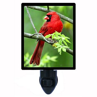 Red Bird. Cardinal Decorative Photo Night Light.