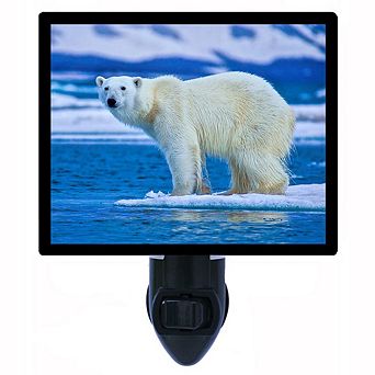 Polar Bear. Decorative Photo Night Light.