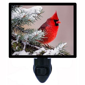 Winter Cardinal. Decorative Photo Night Light.