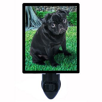 Sad Pug. Dog Decorative Photo Night Light.