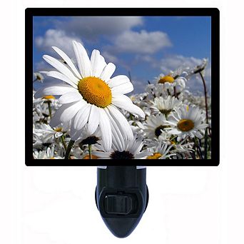 Daisy Garden. Flower Decorative Photo Night Light.