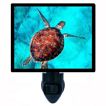 Beautiful Sea Turtle. Decorative Photo Night Light.