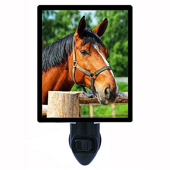 Sorrel Horse. Decorative Photo Night Light.