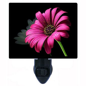 Perfect. Flower Decorative Photo Night Light.