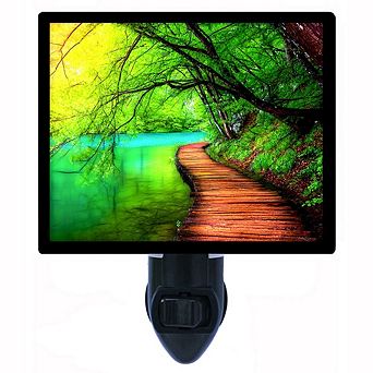 Deep Forest Stream. Landscape Decorative Photo Night Light.