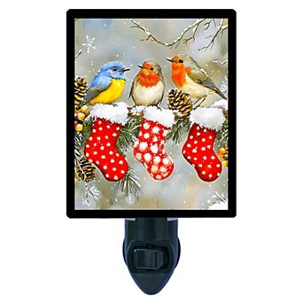 Fancy Feathered Friends Night Light Christmas Birds on Stockings Holiday Décor + Free Insert