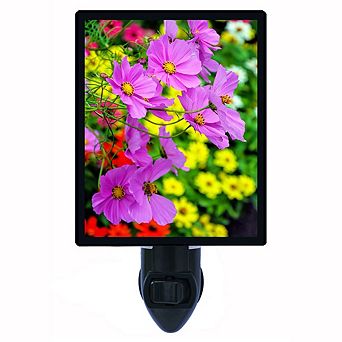Colorful Cosmos. Flower Decorative Photo Night Light.