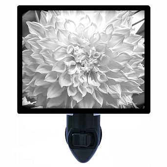 Dahlia. Flower Decorative Photo Night Light.