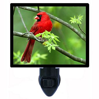 Cardinal. Decorative Photo Night Light.