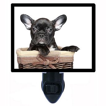 Black French Bulldog. Dog Decorative Photo Night Light.