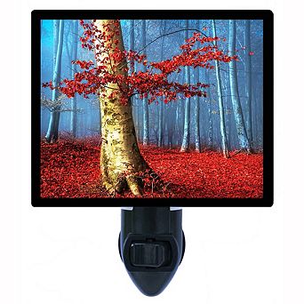 Red Fall Forest. Autumn Landscape 'Decorative Photo Night Light.