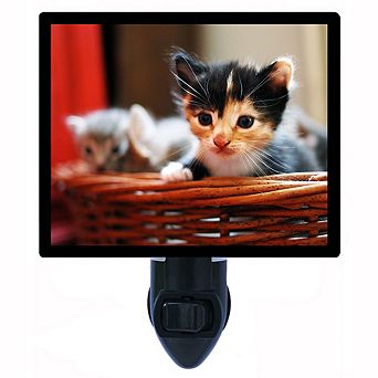 Basket Case. Cat Decorative Photo Night Light.