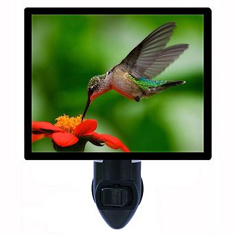 Hummingbird And Red Flower. Decorative Photo Night Light.