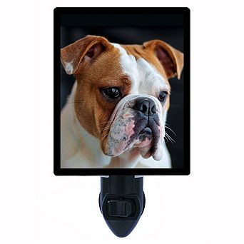 English Bulldog. Dog Decorative Photo Night Light.