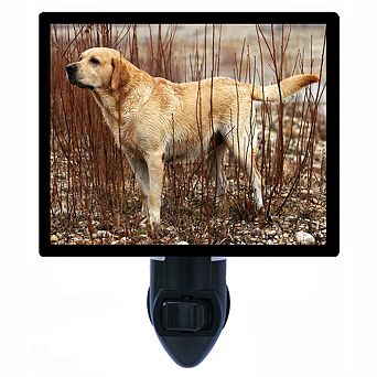 Yellow Lab. Labrador Retriever Decorative Photo Night Light.