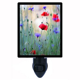 Wildflower Meadow With Poppies. Decorative Photo Night Light.