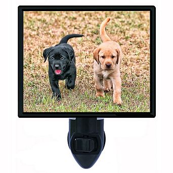 Black And Yellow. Labrador Retriever Decorative Photo Night Light.