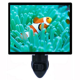 Clown Fish. Decorative Photo Night Light.