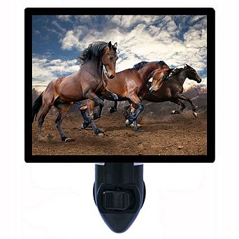 Wild Horses. Decorative Photo Night Light.