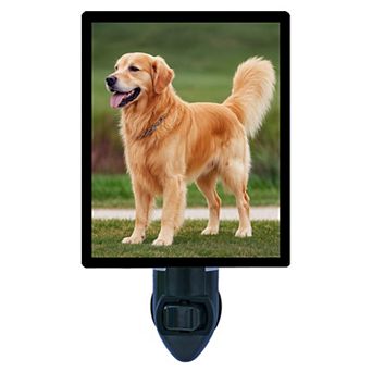 Golden Guard Dog Night Light Loyal Golden Retriever Pet Decor + Free Insert