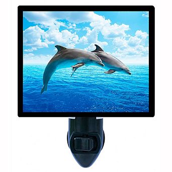 Dolphin Jumping. Decorative Photo Night Light.