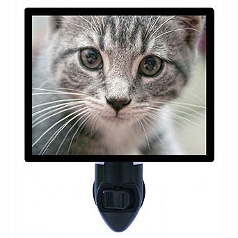Mr. Whiskers. Cat Decorative Photo Night Light.